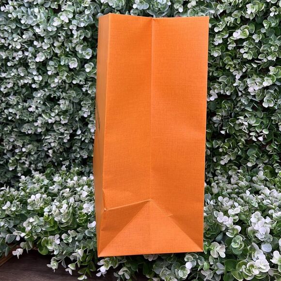 Louis Vuitton Limited Edition Holiday Classic Gift Bag RARE - Picture 9 of 16